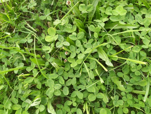 Стадион Авангард - 23.jpg